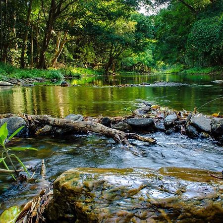 Cairns Homestead Redlynch Pet And Family Friendly Exteriér fotografie