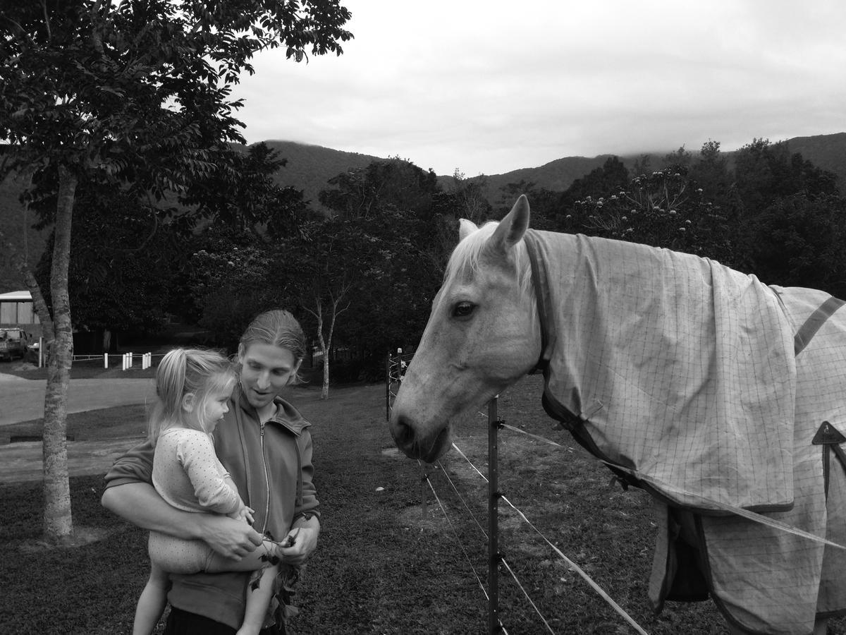 Cairns Homestead Redlynch Pet And Family Friendly Exteriér fotografie