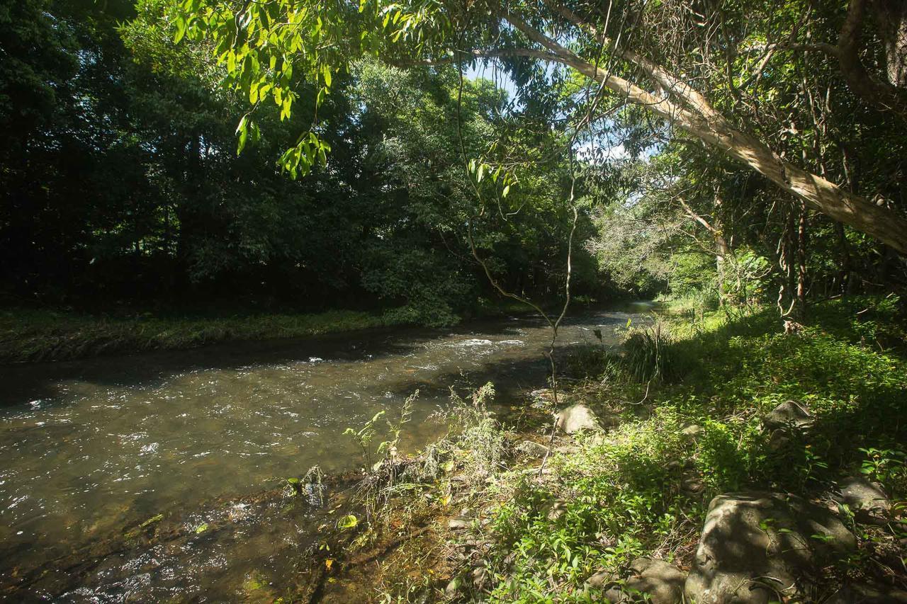 Cairns Homestead Redlynch Pet And Family Friendly Exteriér fotografie