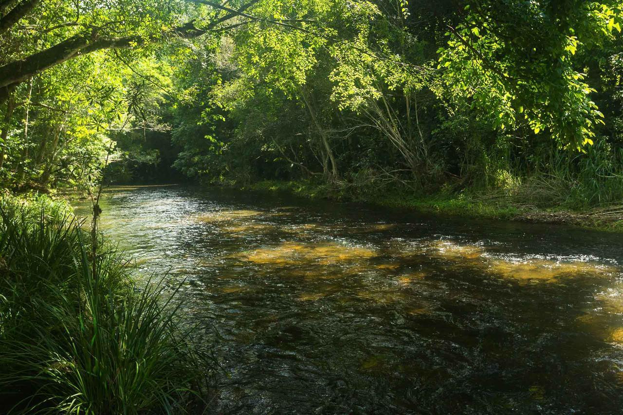 Cairns Homestead Redlynch Pet And Family Friendly Exteriér fotografie