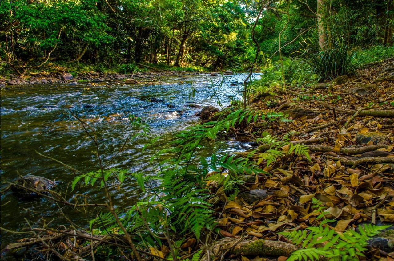 Cairns Homestead Redlynch Pet And Family Friendly Exteriér fotografie