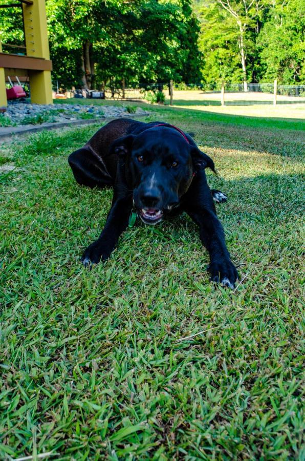 Cairns Homestead Redlynch Pet And Family Friendly Exteriér fotografie