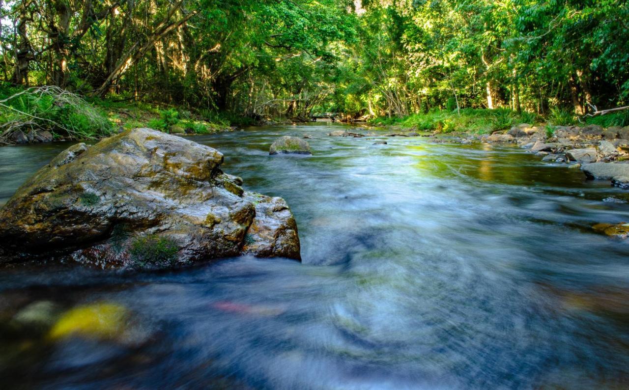 Cairns Homestead Redlynch Pet And Family Friendly Exteriér fotografie