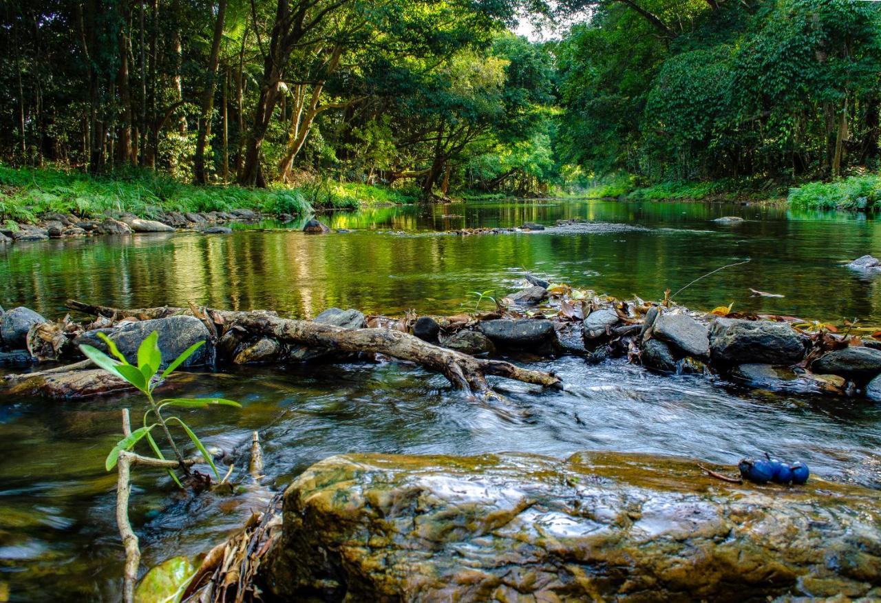 Cairns Homestead Redlynch Pet And Family Friendly Exteriér fotografie